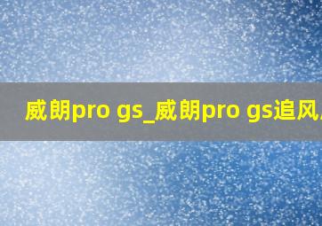 威朗pro gs_威朗pro gs追风版